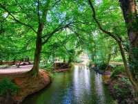 The walking routes were beautifully scenic and well-maintained, offering a peaceful