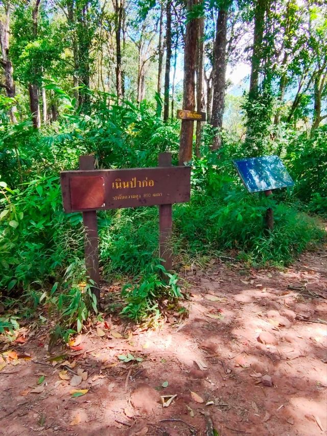 เดินป่าหน้าฝน อุทยานแห่งชาติภูสอยดาว อุตรดิตถ์