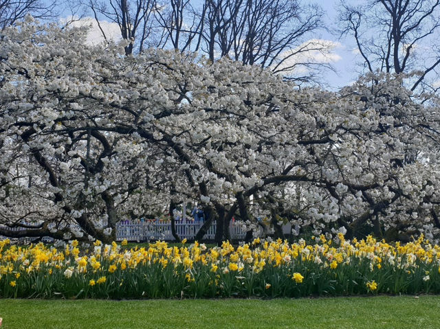 Keukenhof: A Dreamlike Stroll Through Spring’s Finest