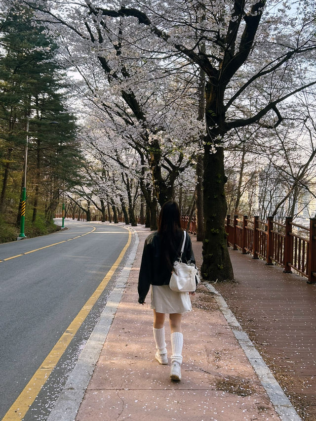 🌿 도심 속 작은 힐링, 수암골 산책길에서의 여유로운 한 걸음