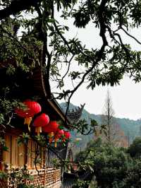 Faxi Temple - 法喜寺สักการะขอพรที่วัดฝาซี