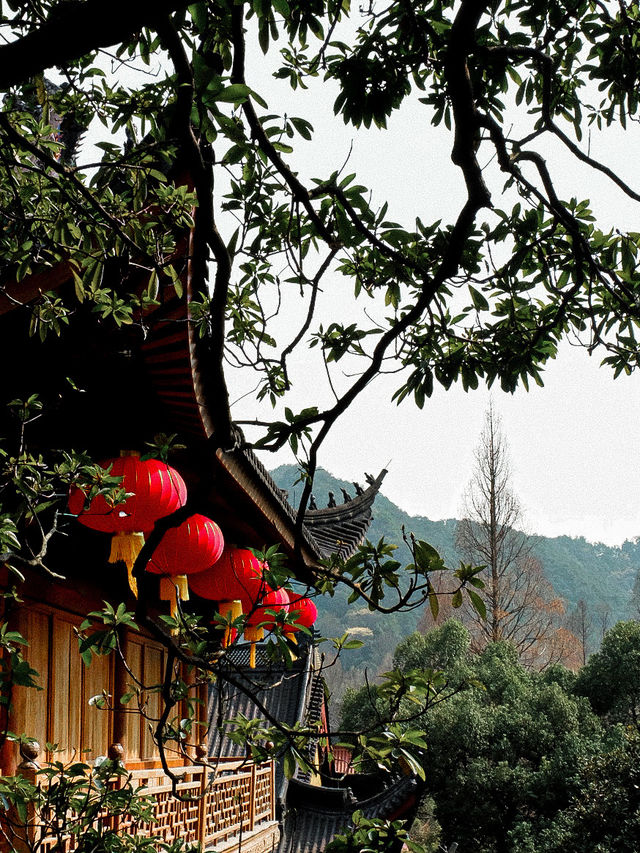Faxi Temple - 法喜寺สักการะขอพรที่วัดฝาซี