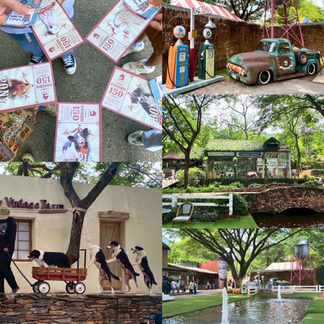 🍞 The Scenery Vintage Farm