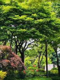 Hullyeonwon Park: A Historic Oasis in Seoul