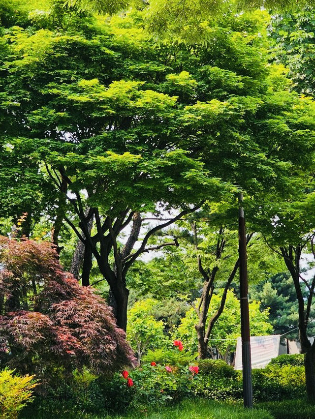 Hullyeonwon Park: A Historic Oasis in Seoul