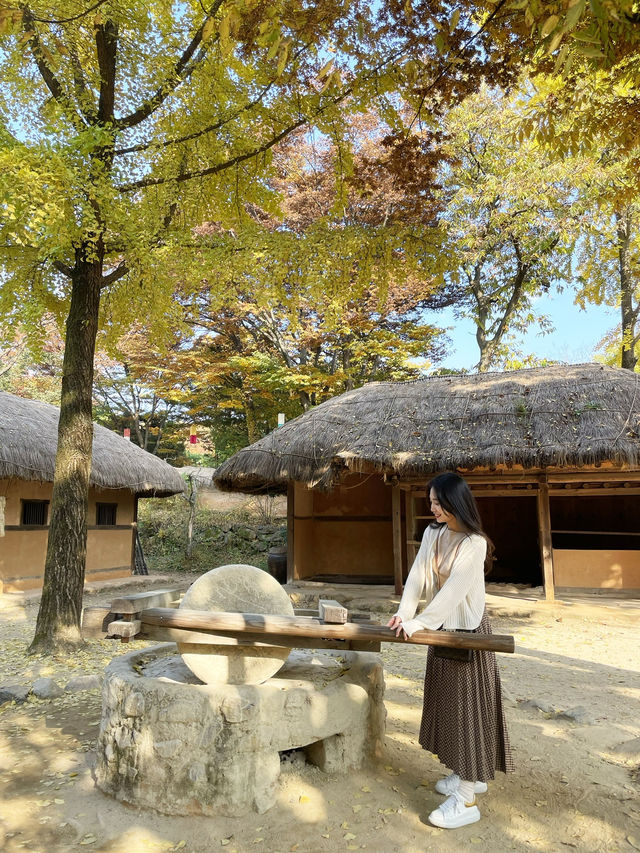 날씨 좋은 날 놀로가기 좋은 곳