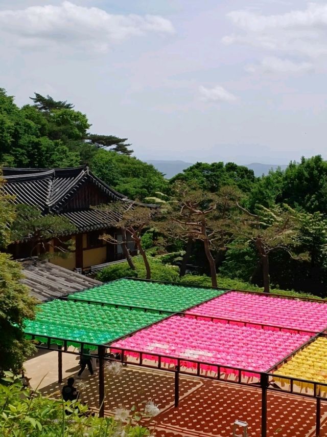 산길 따라 걷는 고요한 사색의 시간