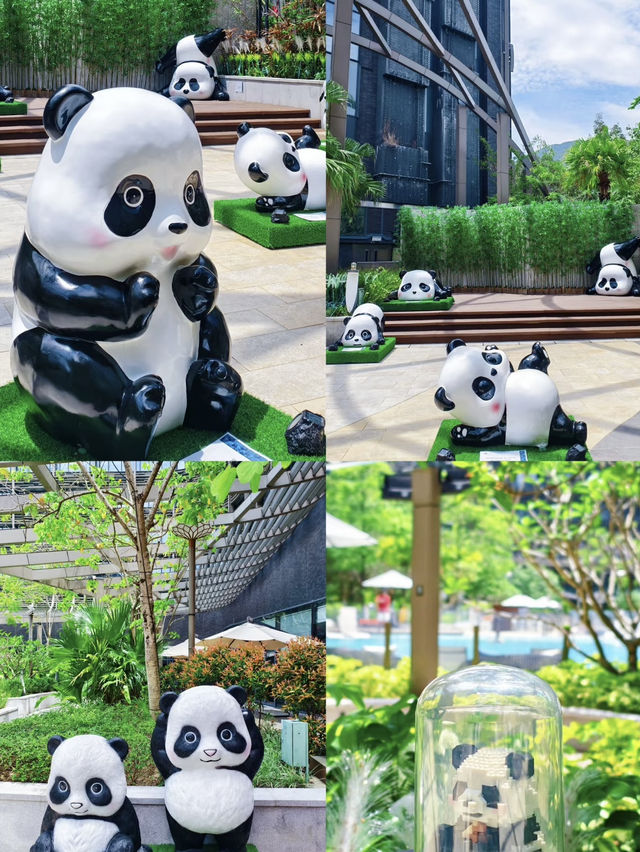香港🇭🇰✨親子游絕佳之選‼️