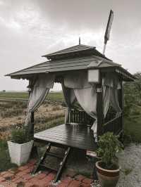Nature Escape: A Staycation by the Paddy Fields 🌾
