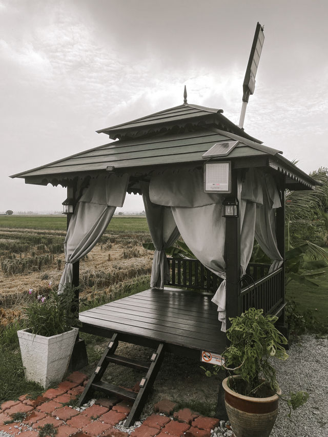 Nature Escape: A Staycation by the Paddy Fields 🌾