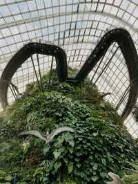 Cloud Forest Singapore🌴🦖