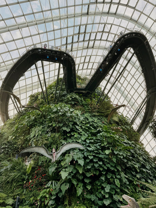 Cloud Forest Singapore🌴🦖