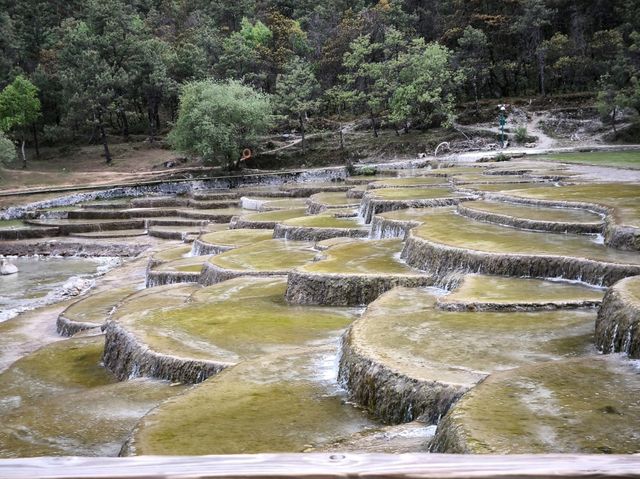 雲南6天遊