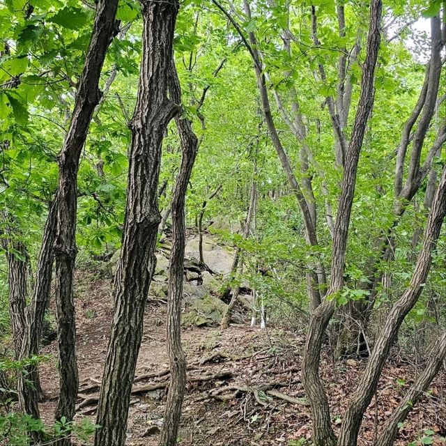 Chill Hike, Cool Vibes, and City Views