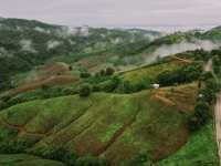 ขับรถเที่ยวหน้าฝน… ชมวิวถนนลอยฟ้า​ 