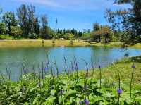 恍如仙境的台東森林公園琵琶湖