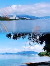 少眾景美雞麻峒
