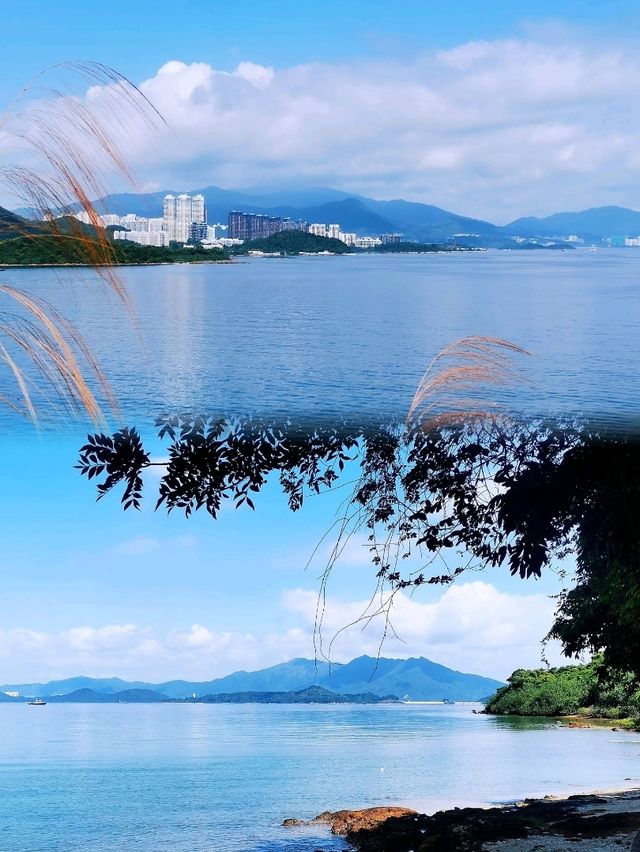少眾景美雞麻峒
