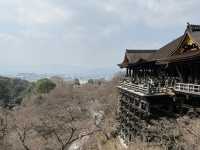🍵 京都旅行 攻略ガイド｜伝統と感性が息づく街