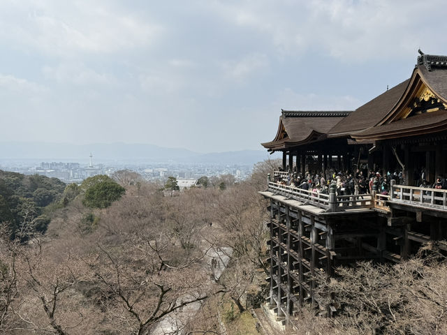 🍵 京都旅行 攻略ガイド｜伝統と感性が息づく街