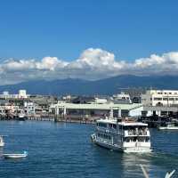 Numazu | Locals Skip Kamakura for This Charming Fishing Town! 🎣🏖️