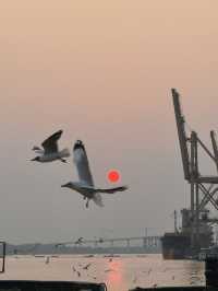 🌇 Chasing Sunsets & Feeding Birds at Botataung Jetty
