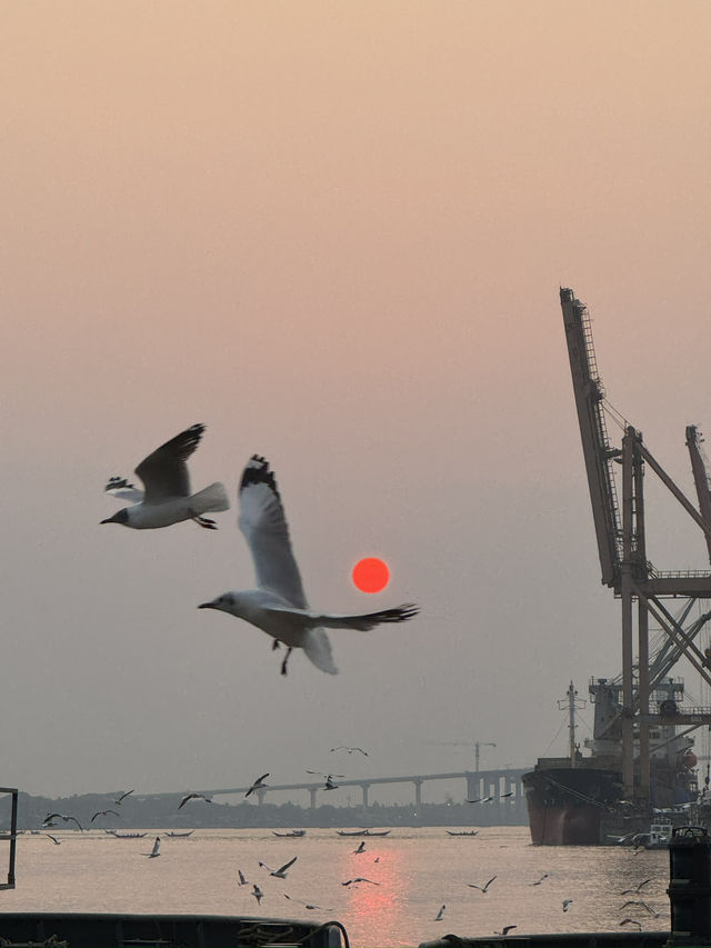🌇 Chasing Sunsets & Feeding Birds at Botataung Jetty