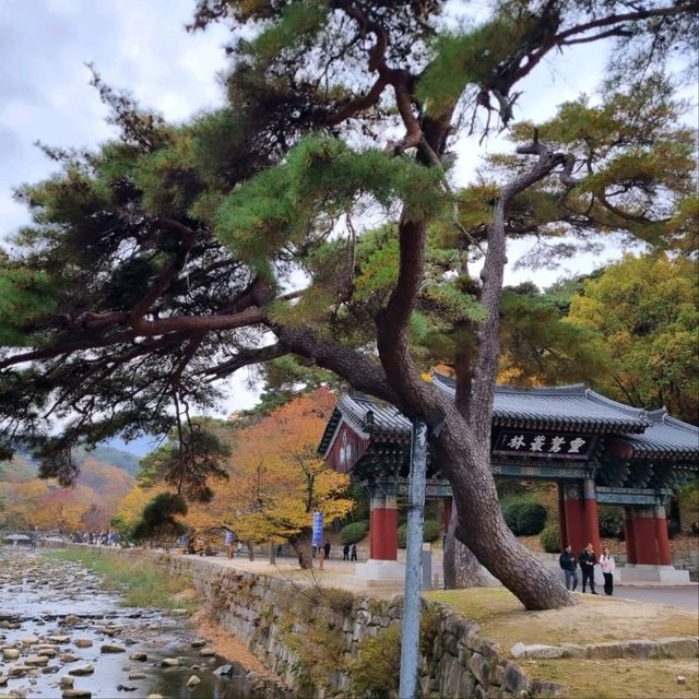 A Day at Tongdosa