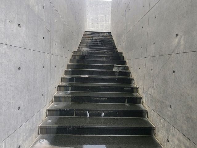 제주도 본태박물관 (안도타다오, 쿠사마야요이, 백남준, 나라요시토모)