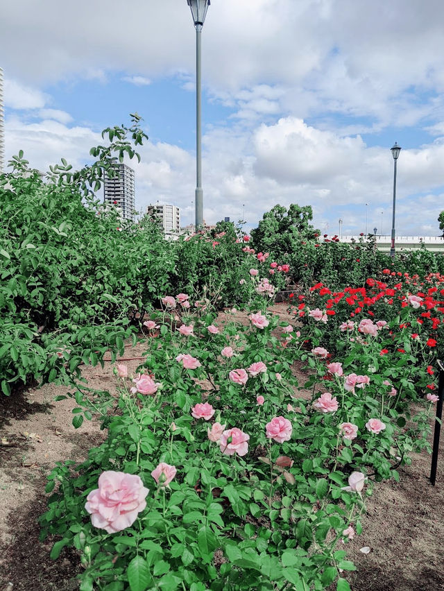The Nakanoshima Rose Garden