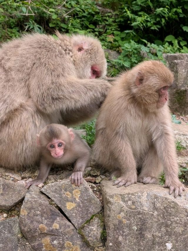 地獄谷