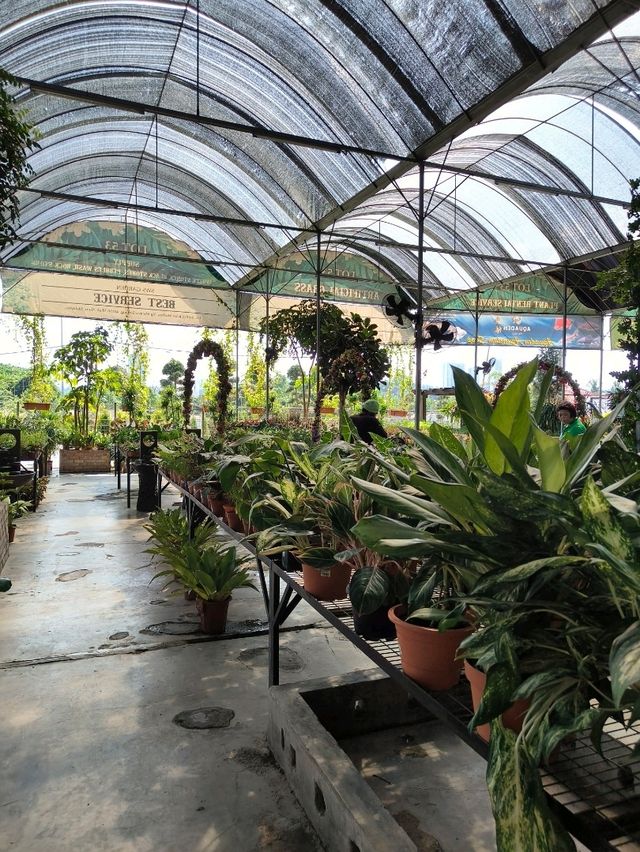Garden Café Vibes – Zen Moments on a Budget
