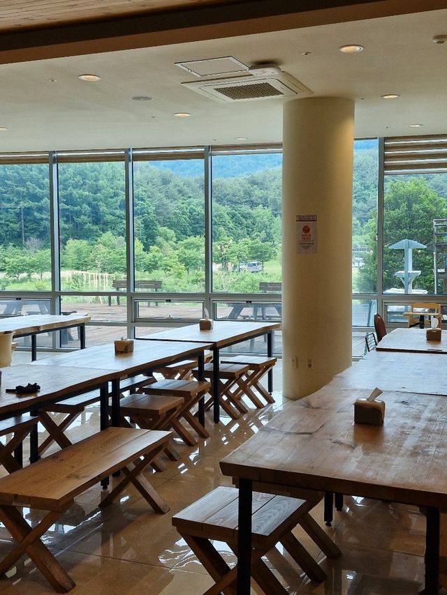 통창 초록뷰가 있는 백두대간수목원 푸드코트🌲