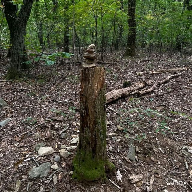 Hidden Gem Alert, Hwangaksan