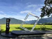 池上。金黃稻浪