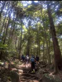 📍【茨城・筑波山】関東平野を一望する“西の富士・東の筑波”の絶景とパワースポット