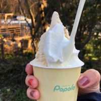【新潟🇯🇵】POPな店内に本格派ジェラート🍨popolo