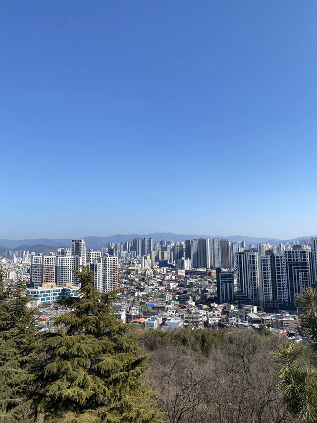 Daegu – เมืองเงียบ ๆ แต่เท่ มีอะไรให้ค้นหาเพียบ!