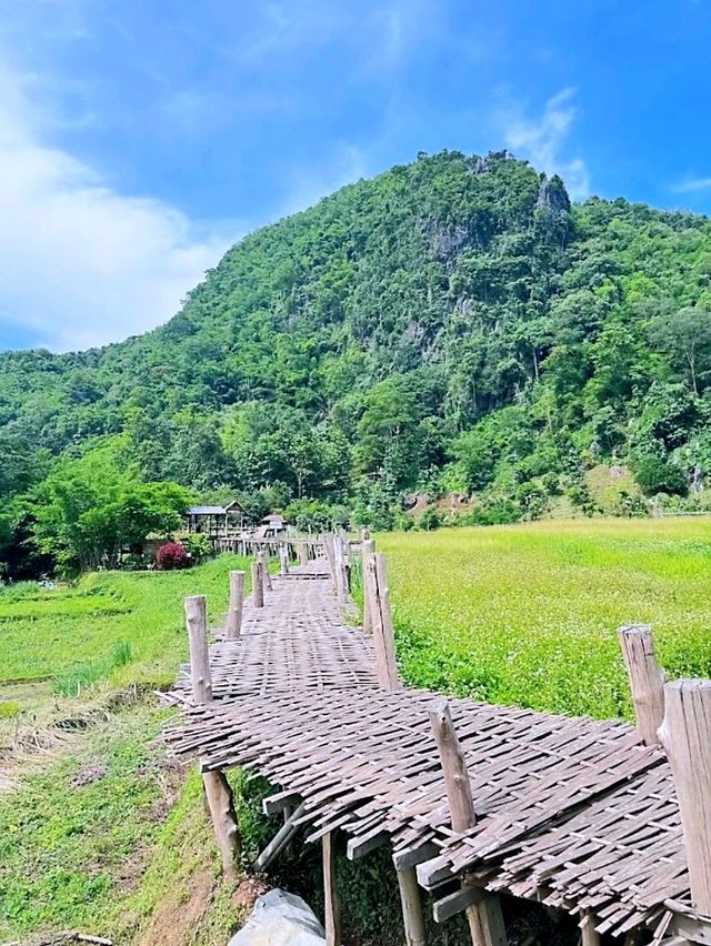 วัดนาคูหา ธรรมชาติที่สวยงามและเป็นแหล่งโอโซน