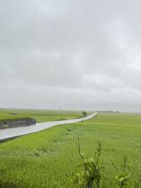 台东自驾景點推薦｜瑞穗牧場也有北海道感？】暴雨中拜訪瑞穗牧場，竟意外療癒