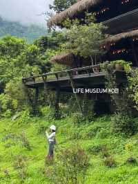 Life Museum CEI🌿