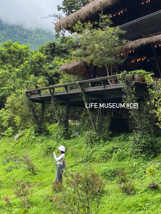 Life Museum CEI🌿