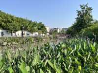 🌿 Huanhuaxi Park – A Calm Escape in the Heart of Chengdu