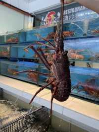 Desaru Seafood Corner, Fresh Flavors at Friendly Prices 