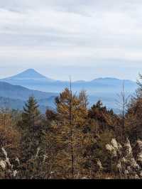 【清里テラスで空とつながる絶景体験】標高1900mの天空リゾート🌤️🗻 
