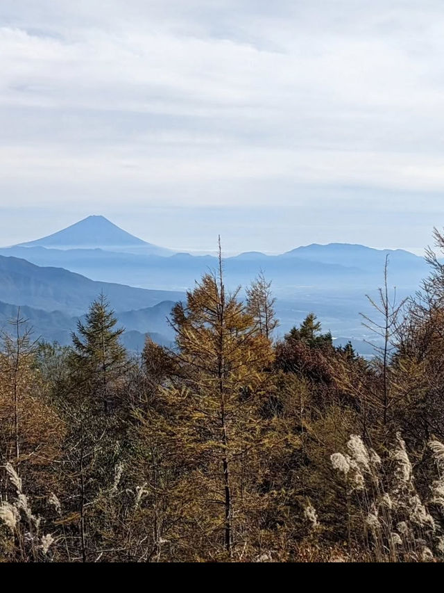 【清里テラスで空とつながる絶景体験】標高1900mの天空リゾート🌤️🗻 