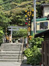 こんな景色が見れるなんて！日本の無人島と長谷寺あじさい