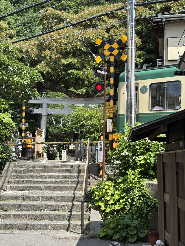 こんな景色が見れるなんて！日本の無人島と長谷寺あじさい