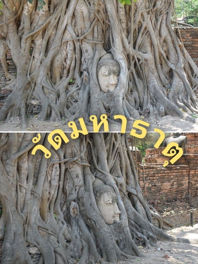 วัดมหาธาตุ