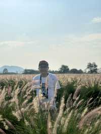 2 Days in Khao Yai: Wine, Flowers & Hidden Gems – My Private Tour Experience from Bangkok 🍷🌻